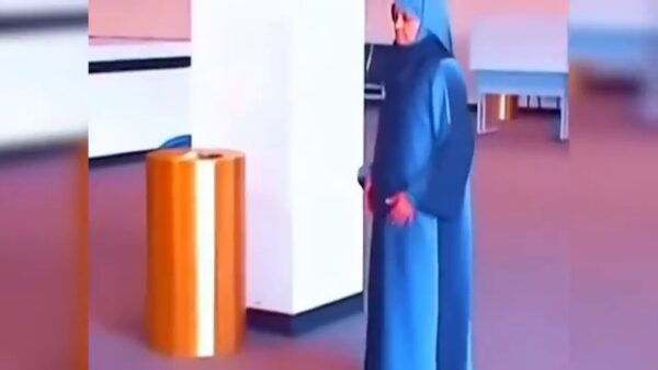 Times Mahesha EXCLUSIVE — Viral “Torenza Passport at JFK” Video Busted: Here’s Why It’s Fake