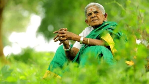 🌿 Saalumarada Thimmakka (1911–2025): The Mother of Trees Who Grew a Forest of Hope