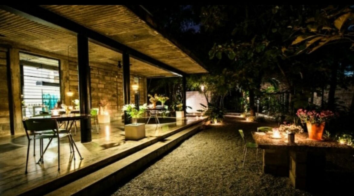 Grasshopper Bengaluru Private Dining: A Quiet, Luxurious Escape for Food Lovers Grasshopper Bengaluru private dining greenery-filled ambience