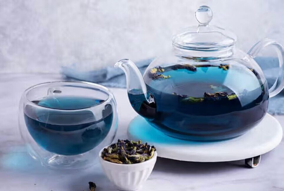 Blue tea benefits shown with butterfly pea flower tea cup