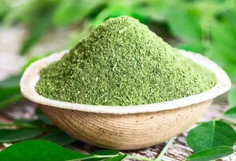 Moringa Powder Health Benefits: Nature’s Superhero Ingredient for Total Wellness Bowl of vibrant green moringa powder with a teaspoon