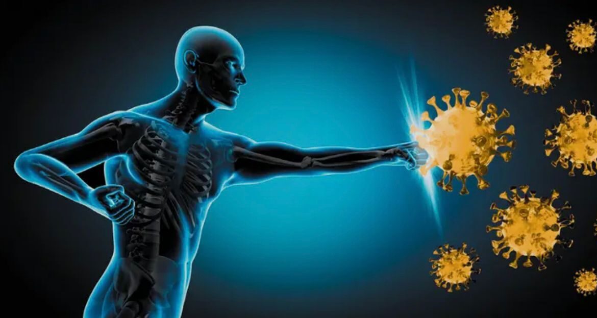 A person enjoying a walk in nature, representing balanced exposure for immune resilience.