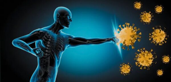 A person enjoying a walk in nature, representing balanced exposure for immune resilience.