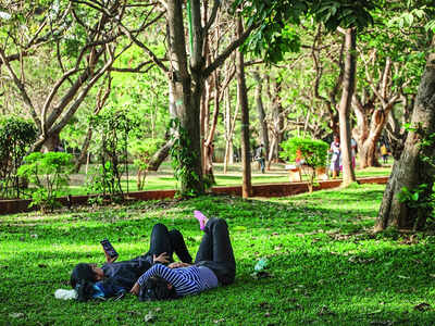 Vishwa Guru Basavanna Biodiversity Park Bengaluru: ₹50 Crore Green Light for Bengaluru's Third Major Green Space Aerial view of the 153-acre site for Vishwa Guru Basavanna Biodiversity Park Bengaluru at Madappanahalli