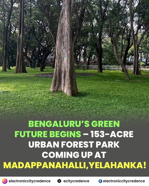 Vishwa Guru Basavanna Biodiversity Park Bengaluru: ₹50 Crore Green Light for Bengaluru's Third Major Green Space Budget breakdown infographic showing ₹750 crore total cost for Vishwa Guru Basavanna Biodiversity Park Bengaluru