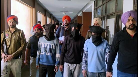 A chart comparing Punjab's population share to its percentage of India's licensed firearms.