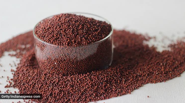 Ragi Gains Attention for Its Gut Health Benefits